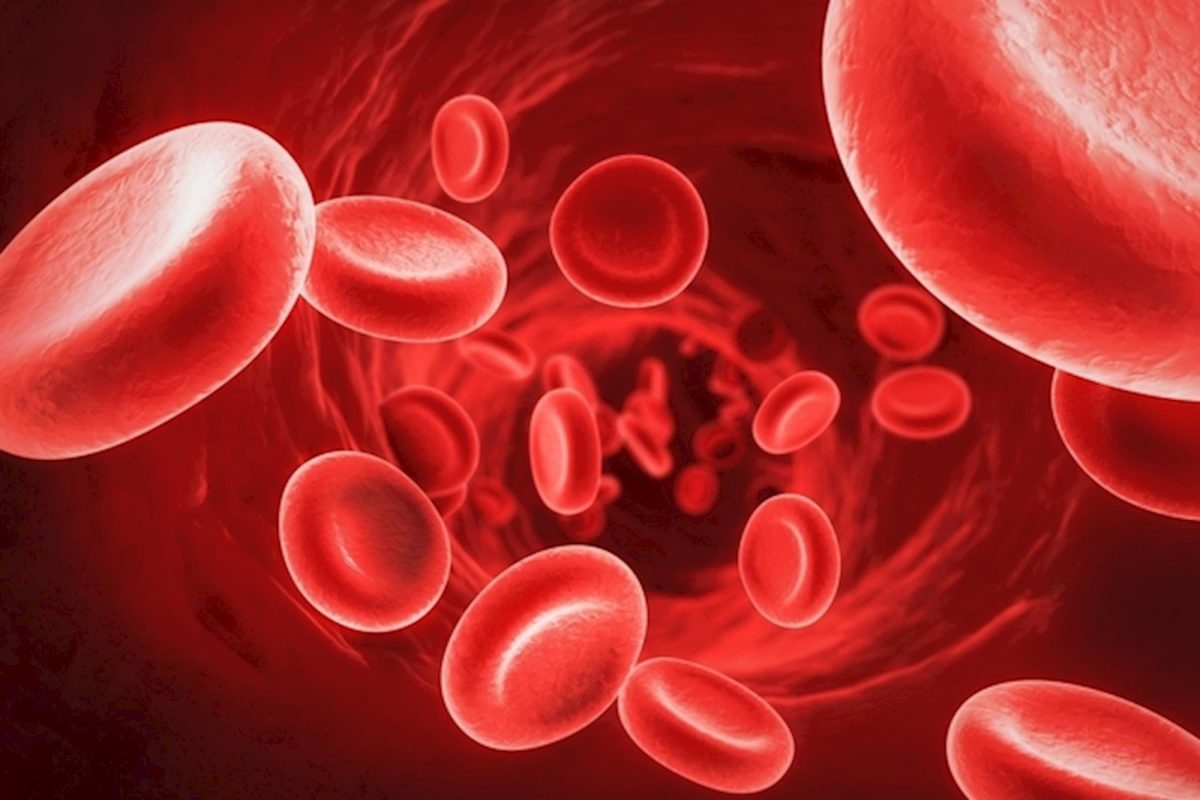 Hemoglobina: O que é e quais seus níveis