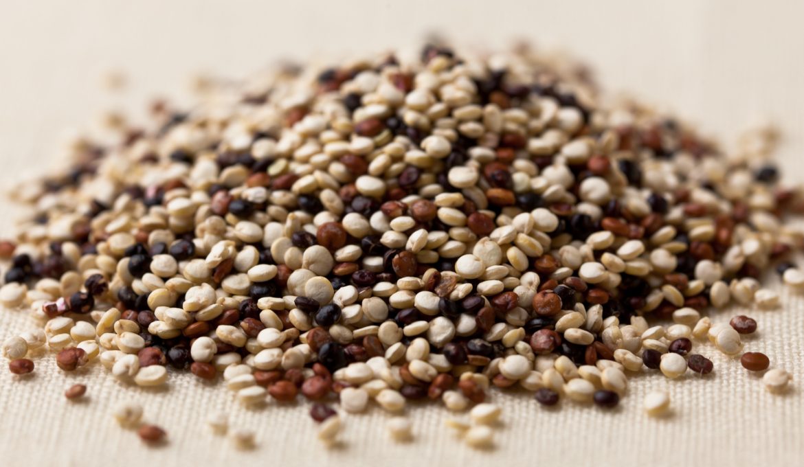 Quinoa: O que é, valor nutritivo e benefícios
