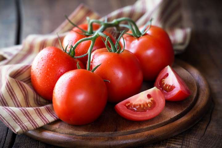 Aprenda a plantar tomate em casa