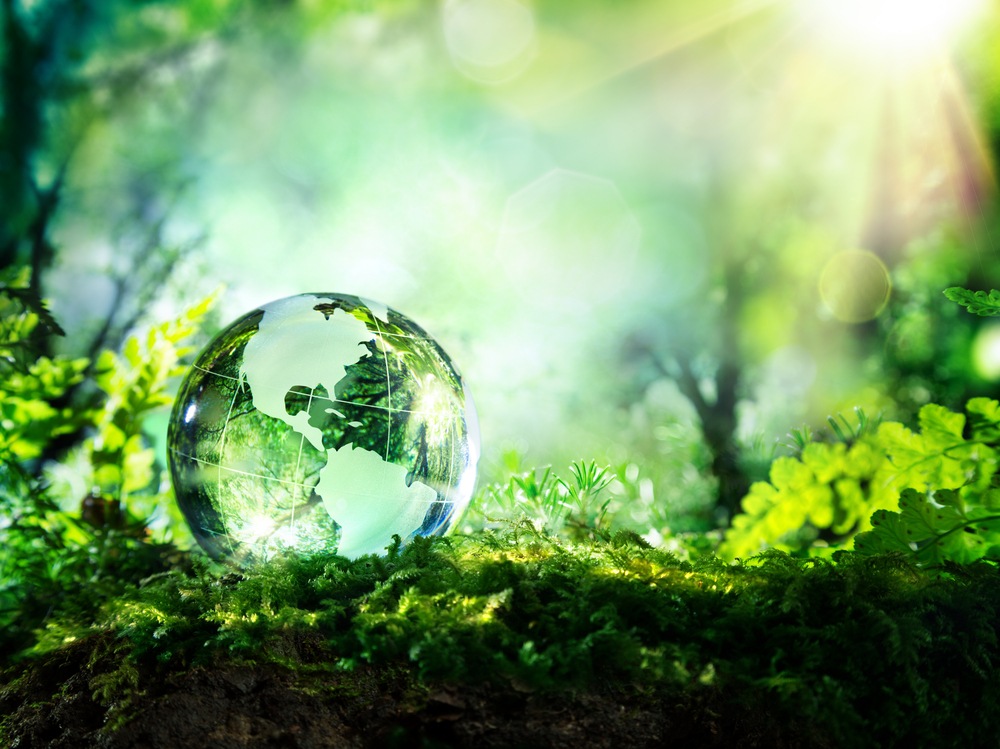 O que é sustentabilidade ambiental?