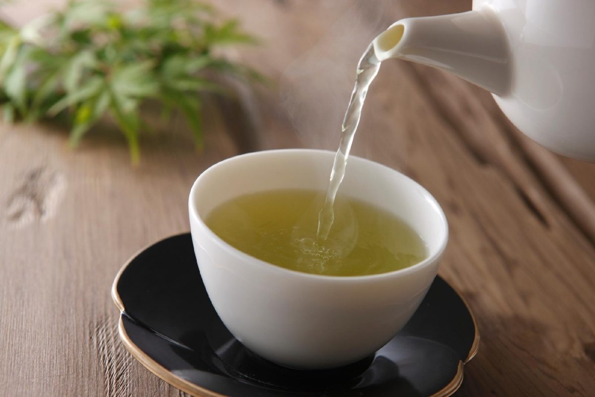 Chá verde: Conheça suas variedade e benefícios