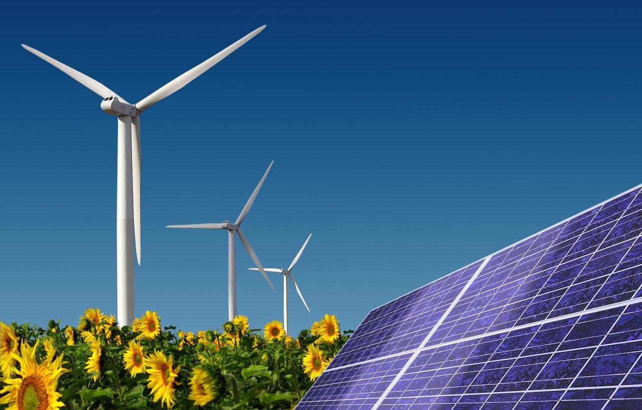 Energia renovável: O que são e quais seus tipos?
