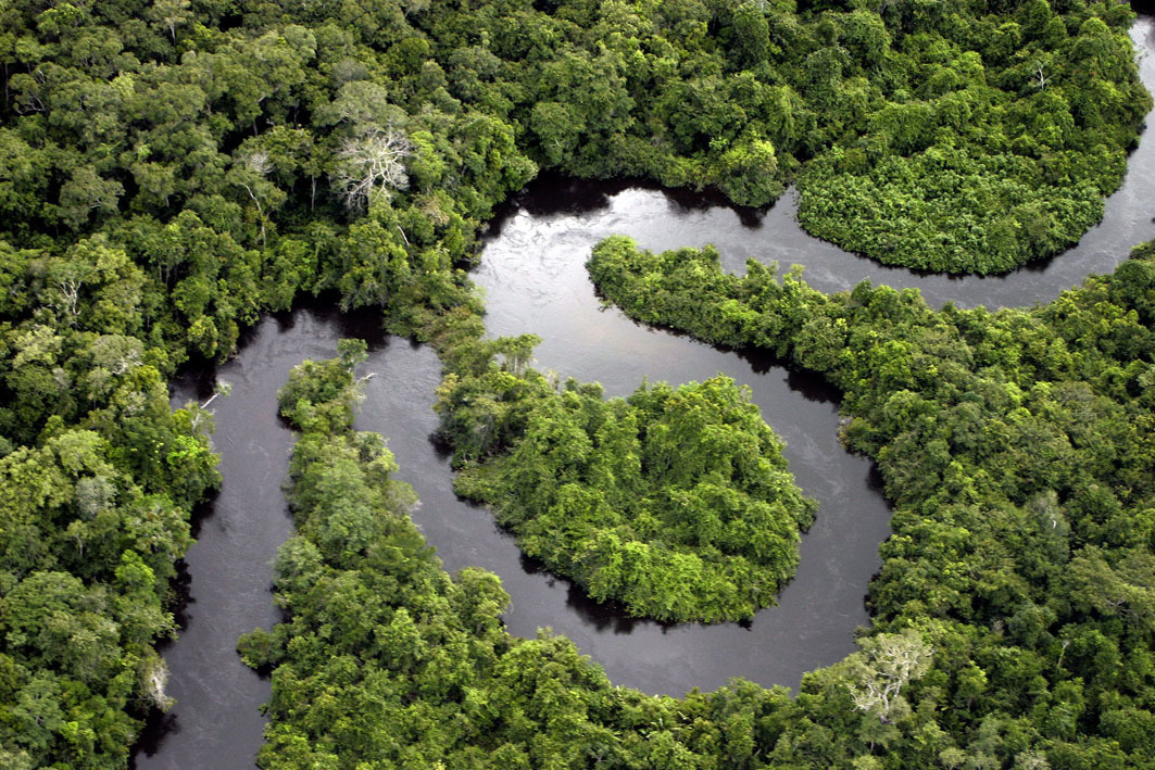 A Floresta Amazônica e suas biodiversidade