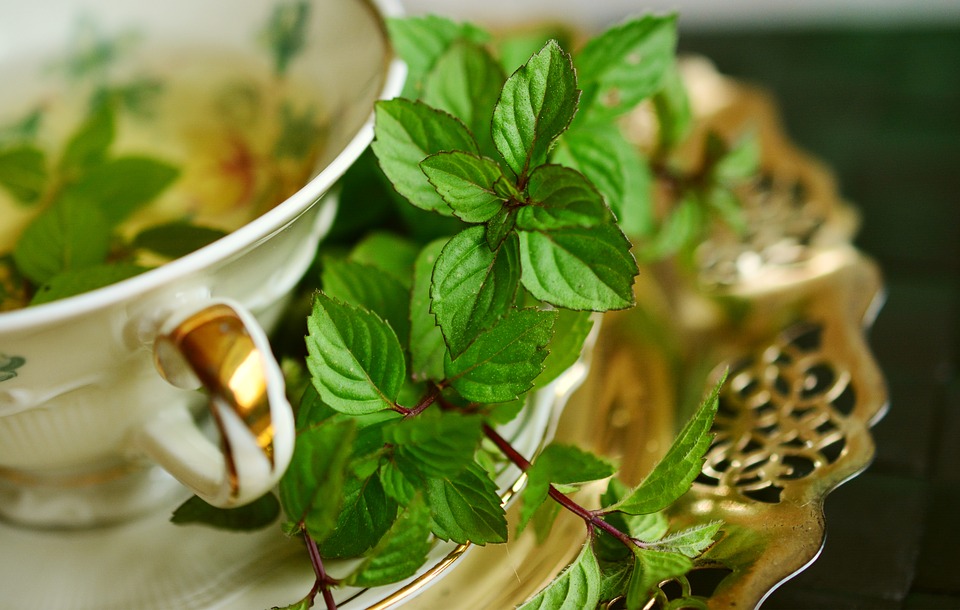 Chá de hortelã e seus benefícios para saúde