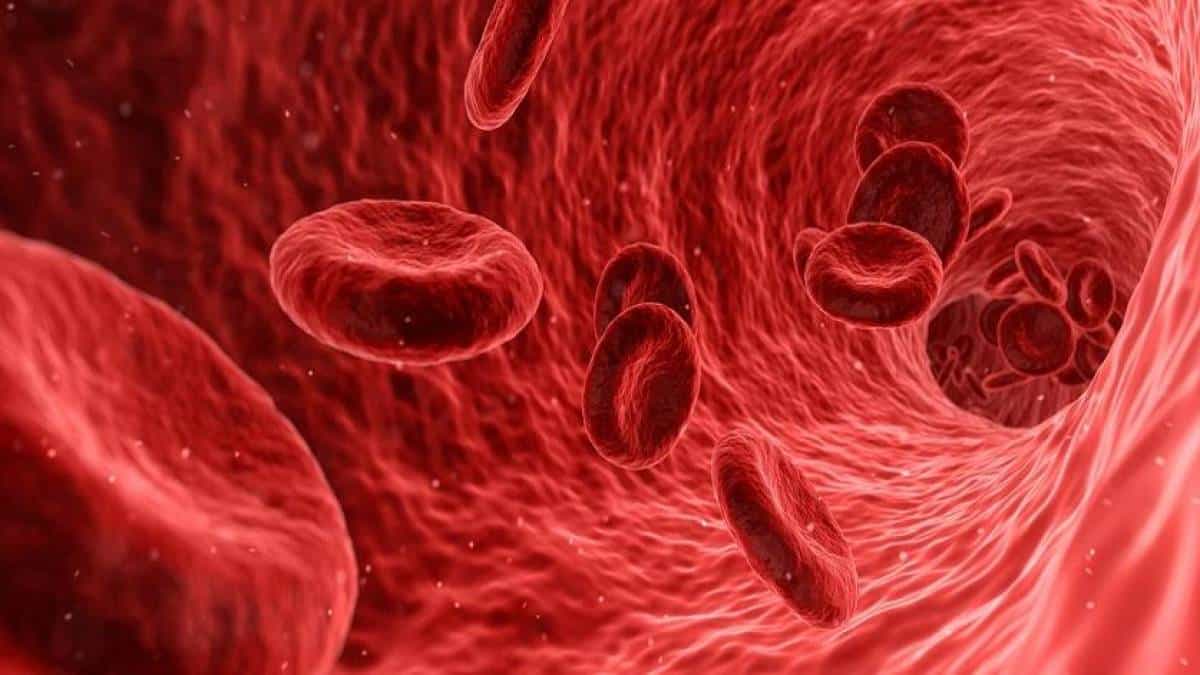 Hemoglobina baixa: Causas e tratamentos