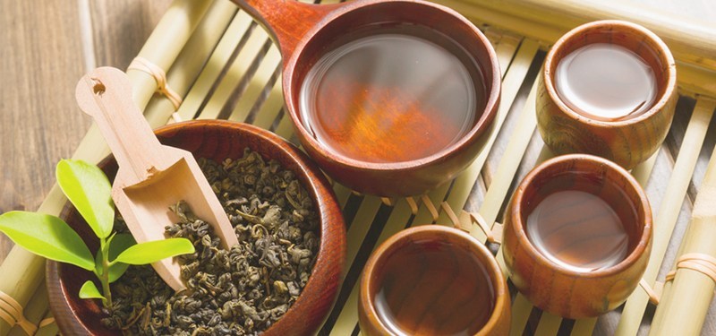Chá de canela de velho: Tudo sobre a planta