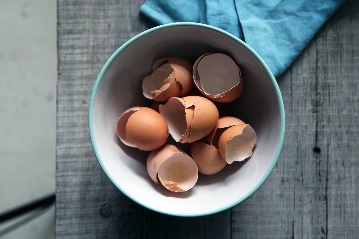 13 usos criativos e simples de casca de ovo para sua casa e jardim • Em vez disso