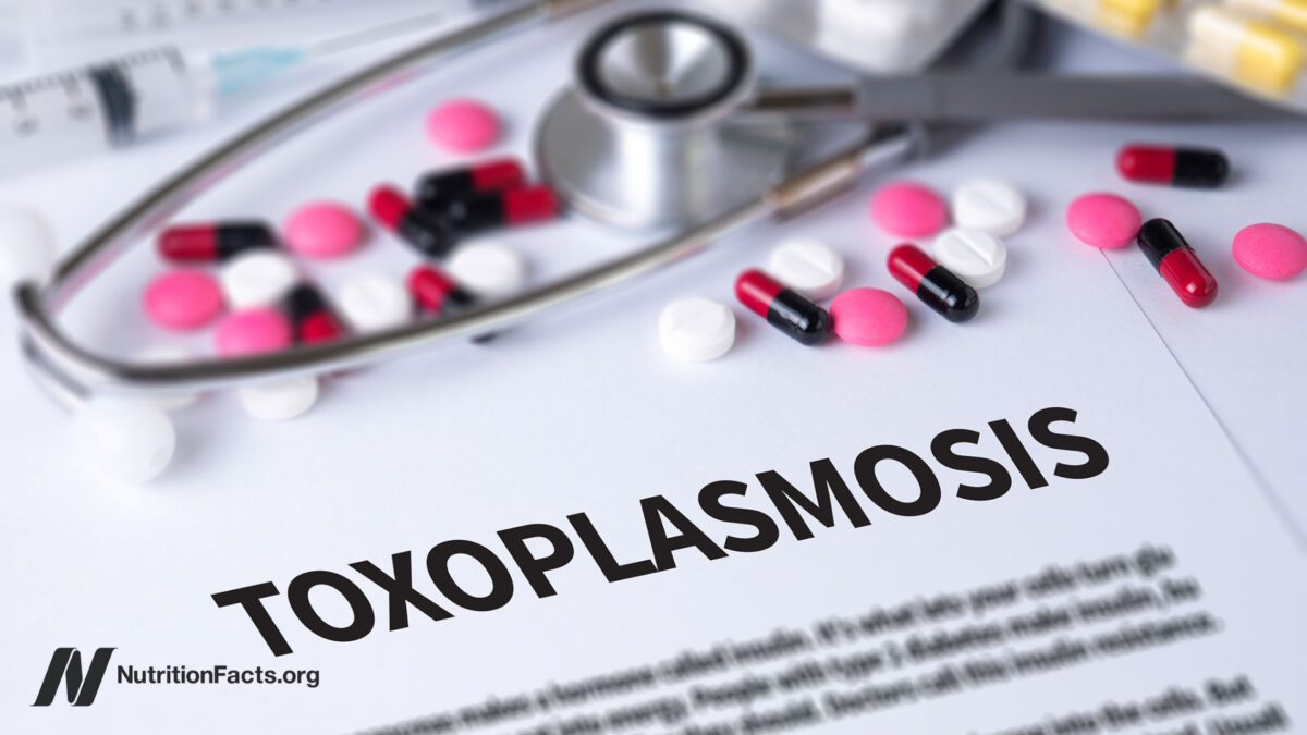 Prevenção da Toxoplasmose
