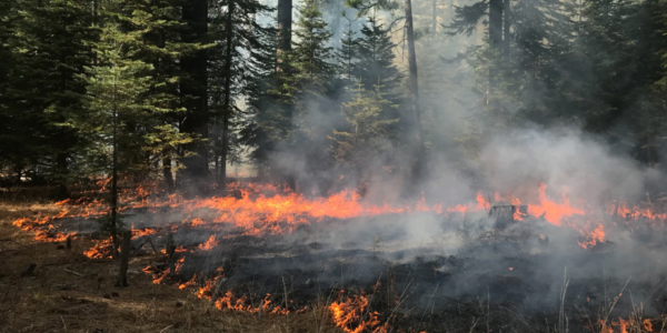 Um espaço melhorado para apoio à decisão de gestão de incêndios florestais no norte da Califórnia